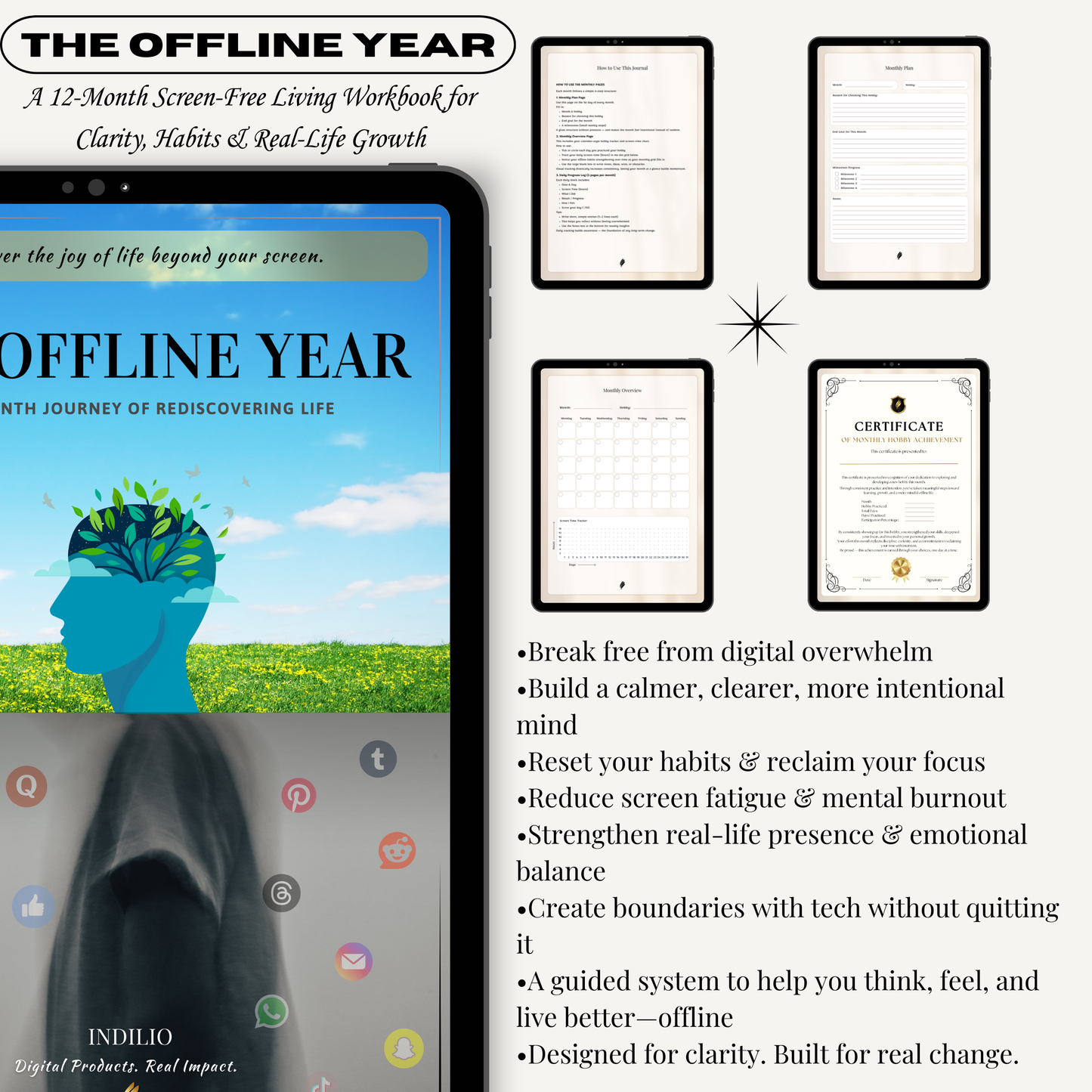 The Offline Year — A 12-Month Guided System to Reduce Screen Time, Rediscover Life & Build Meaningful Habits