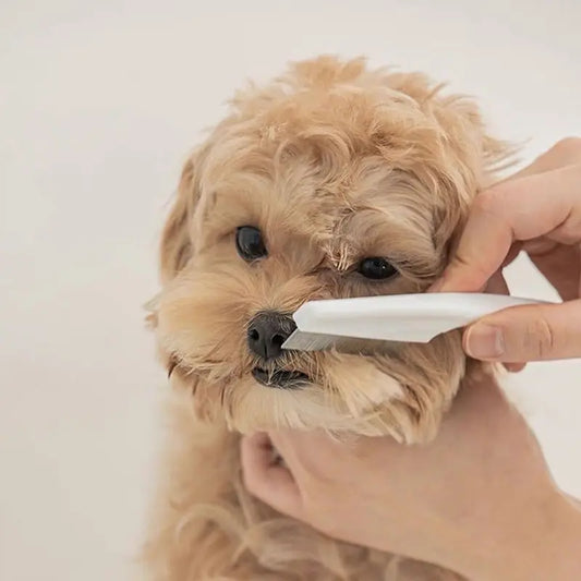 Indilio FleaDefy™ Luxe Grooming Comb – Flea & Tick Remover for Cats & Dogs