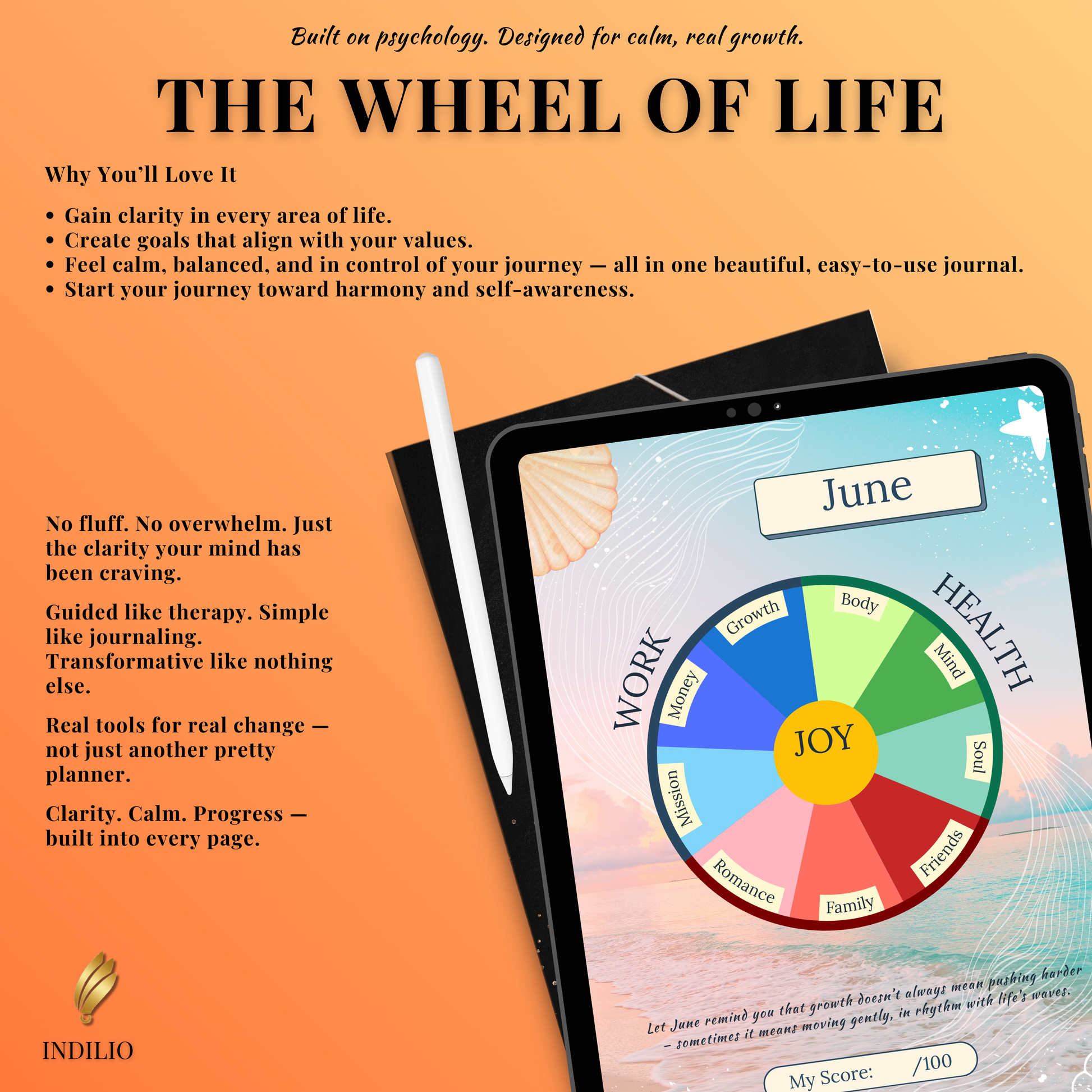 Wheel of Life guided reflection journal benefits and monthly wheel example