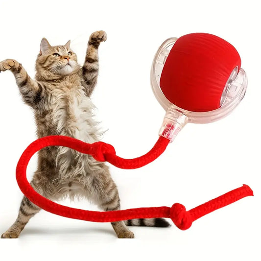 Indilio MotionTail™ Smart Rolling Ball