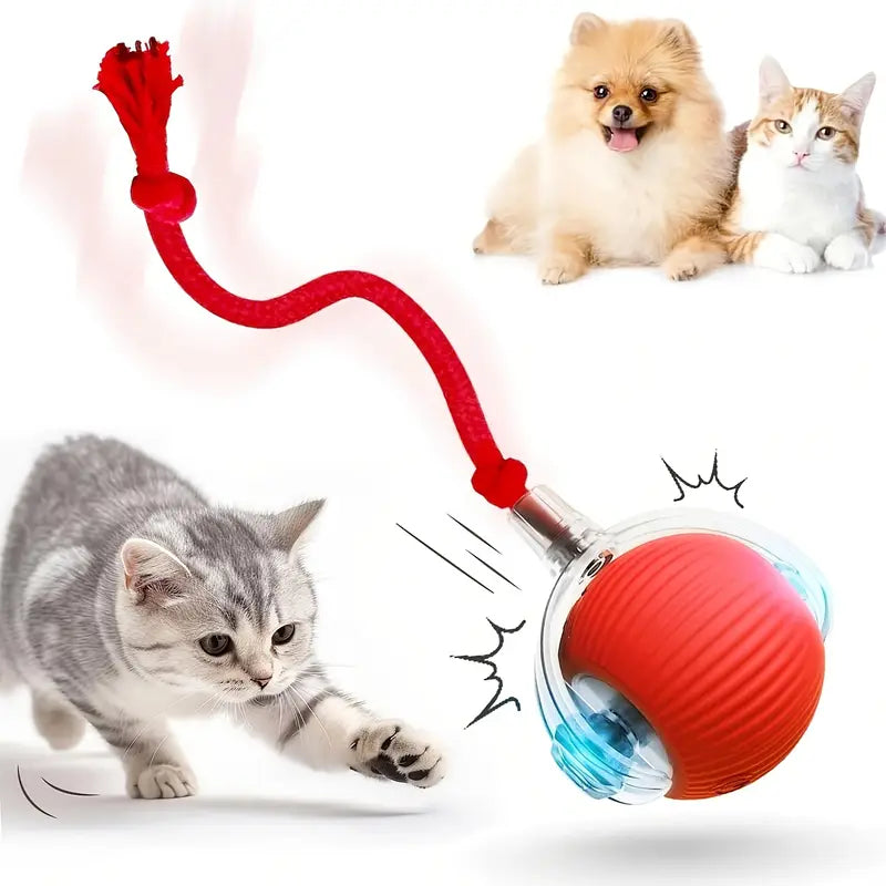 Indilio MotionTail™ Smart Rolling Ball